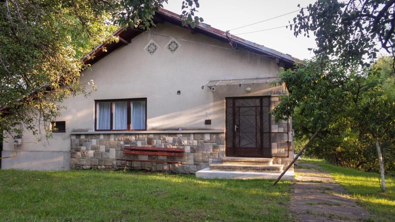 Casa Rurala Cu Livada Lavandra Кымпина Экстерьер фото